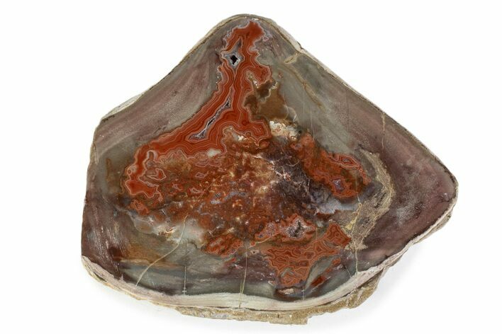Polished Devil's Red Agate Slab - TeePee Canyon, South Dakota #373400